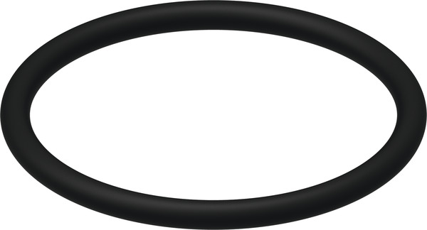 TECE 9820005 Уплотнительное кольцо корзины клапана смыва A2