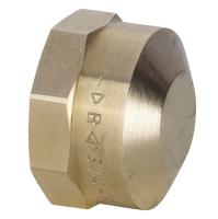 CONEX BANNINGER 3301012000000 СЕРИЯ 3000 Заглушка с внутренней резьбой 1 1/2", бронза